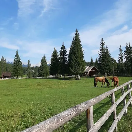 Hiska Na Pokljuki Zgornje Gorje