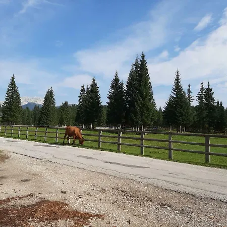 Hiska Na Pokljuki Zgornje Gorje