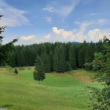 Hiska Na Pokljuki Prázdninový dům